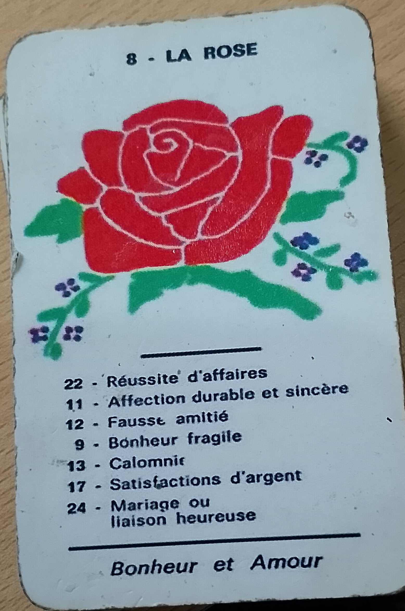 Lire la suite à propos de l’article La signification de la rose dans l’oracle spirite de Mariana