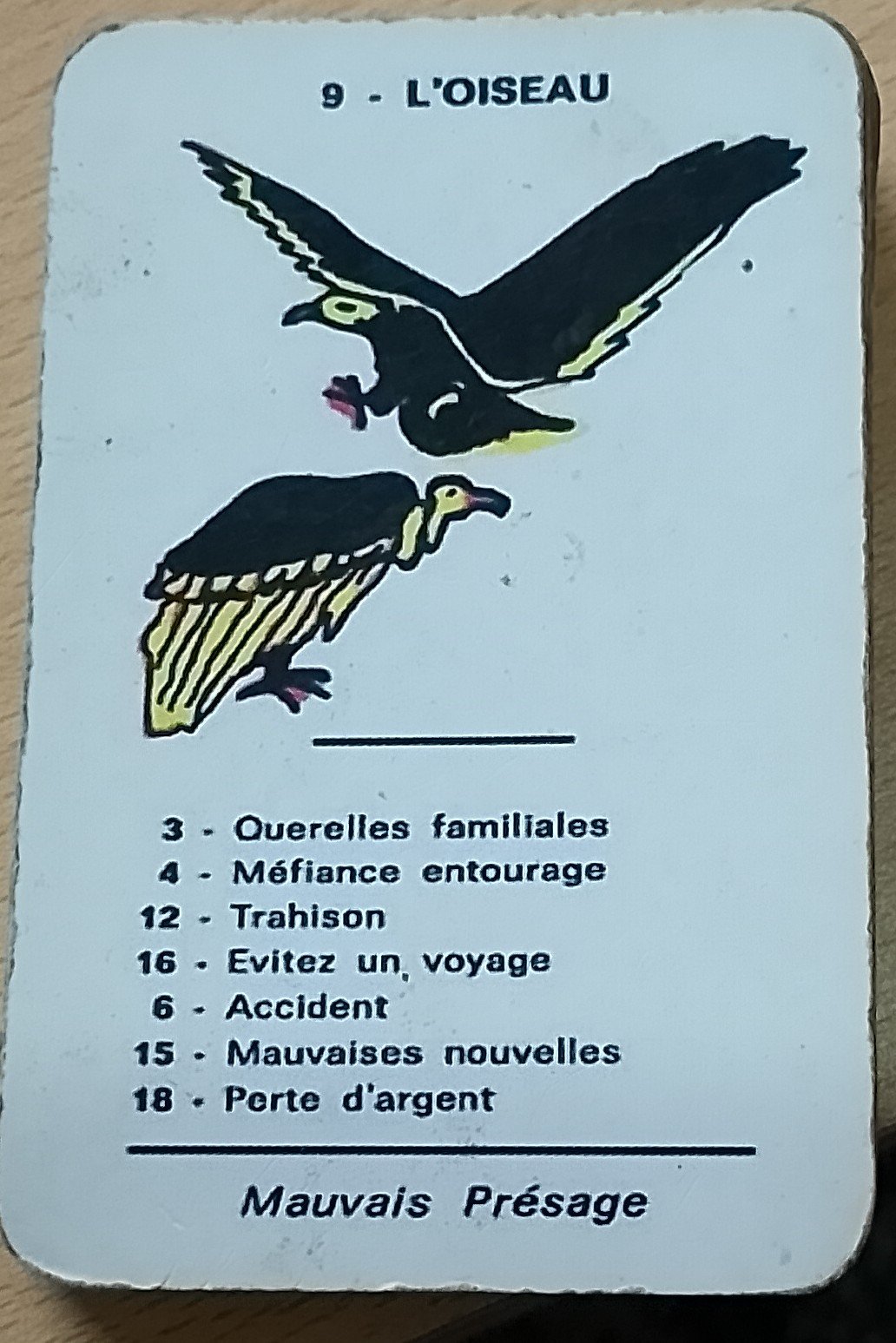 Lire la suite à propos de l’article L’interprétation du Vautour dans l’oracle spirite de Mariana