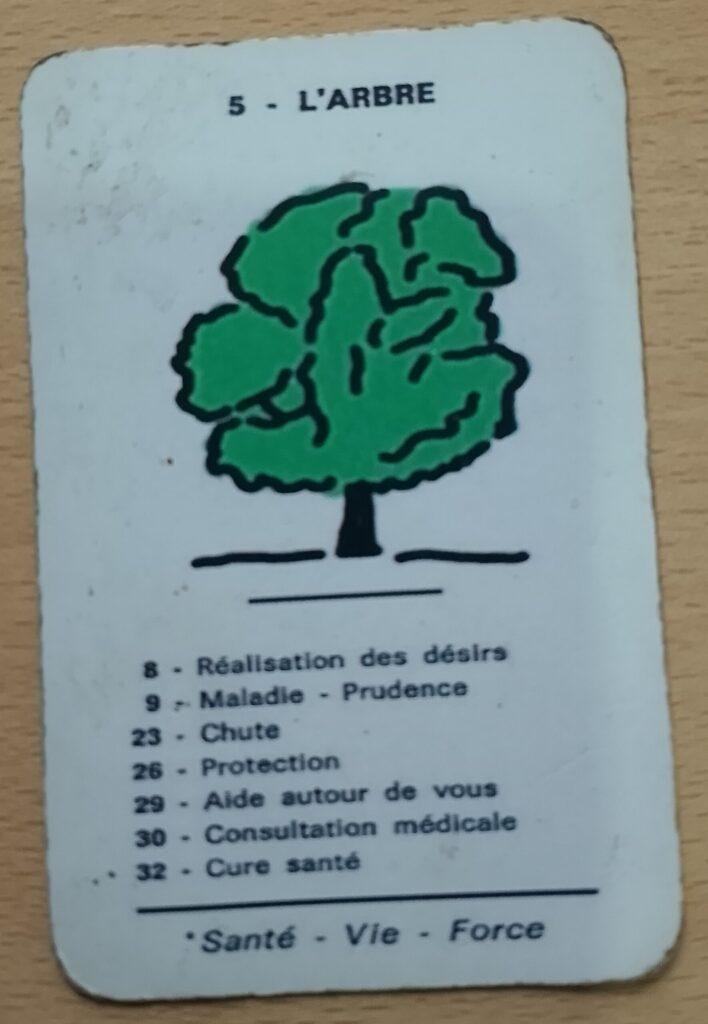 L'arbre oracle spirite de mariana