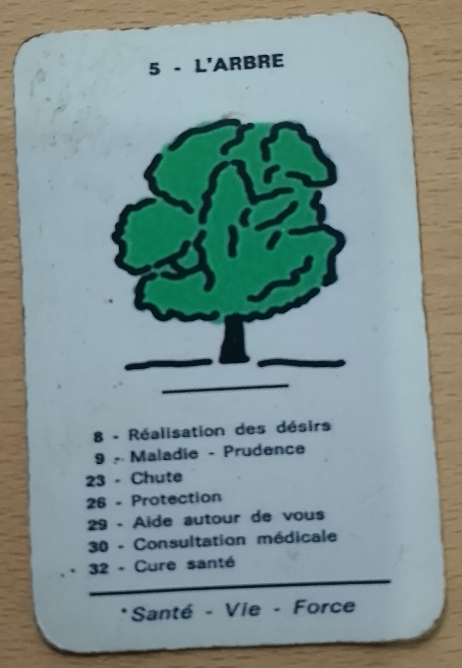 Lire la suite à propos de l’article L’arbre dans les oracles : Toutes les significations ésotériques