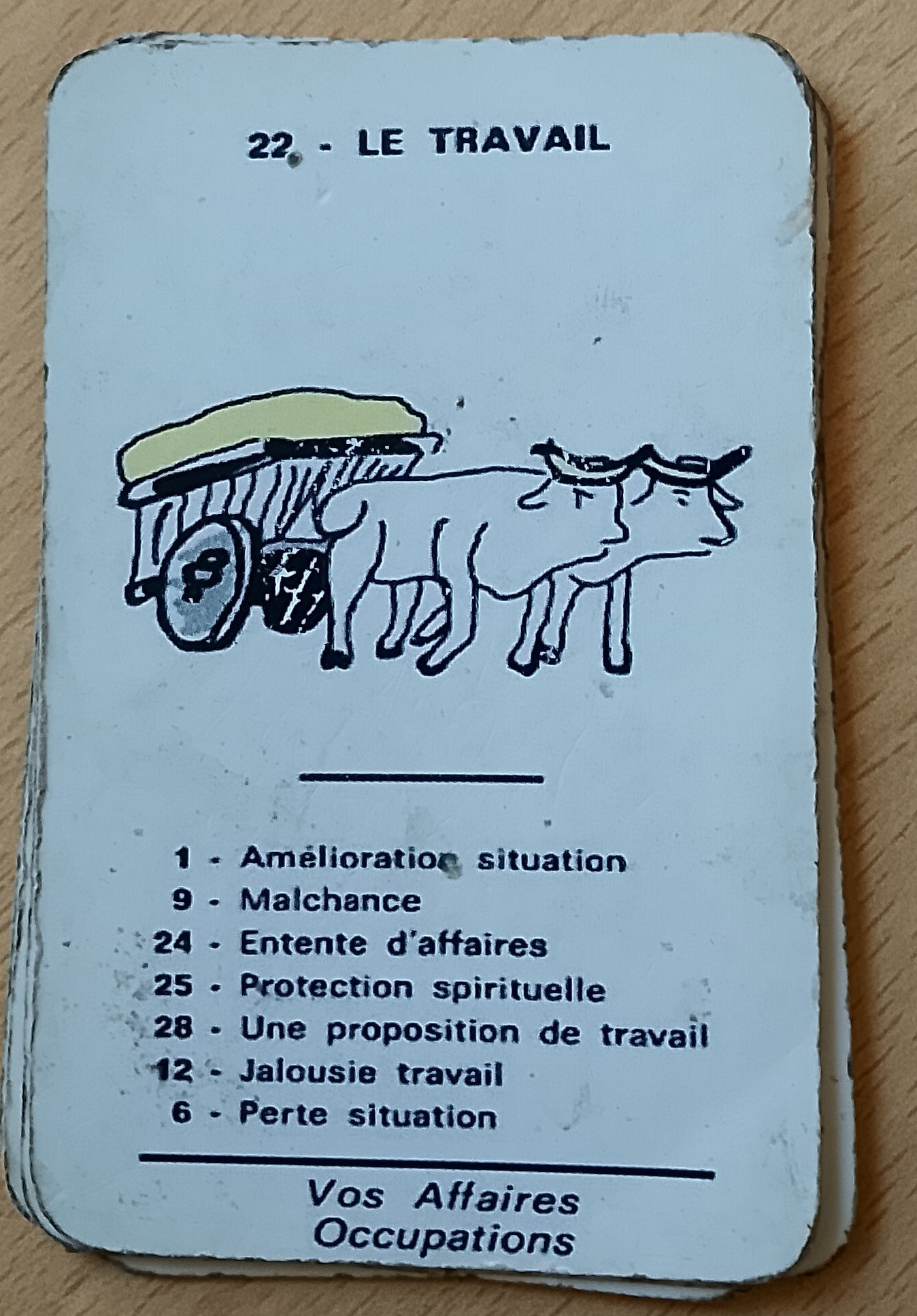 Lire la suite à propos de l’article Carte numéro 22 : L’oracle du travail dans le spirite de Mariana