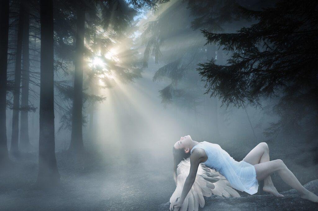 Signes de synchronicités – Comprendre la Synchronicité et ses Origines
