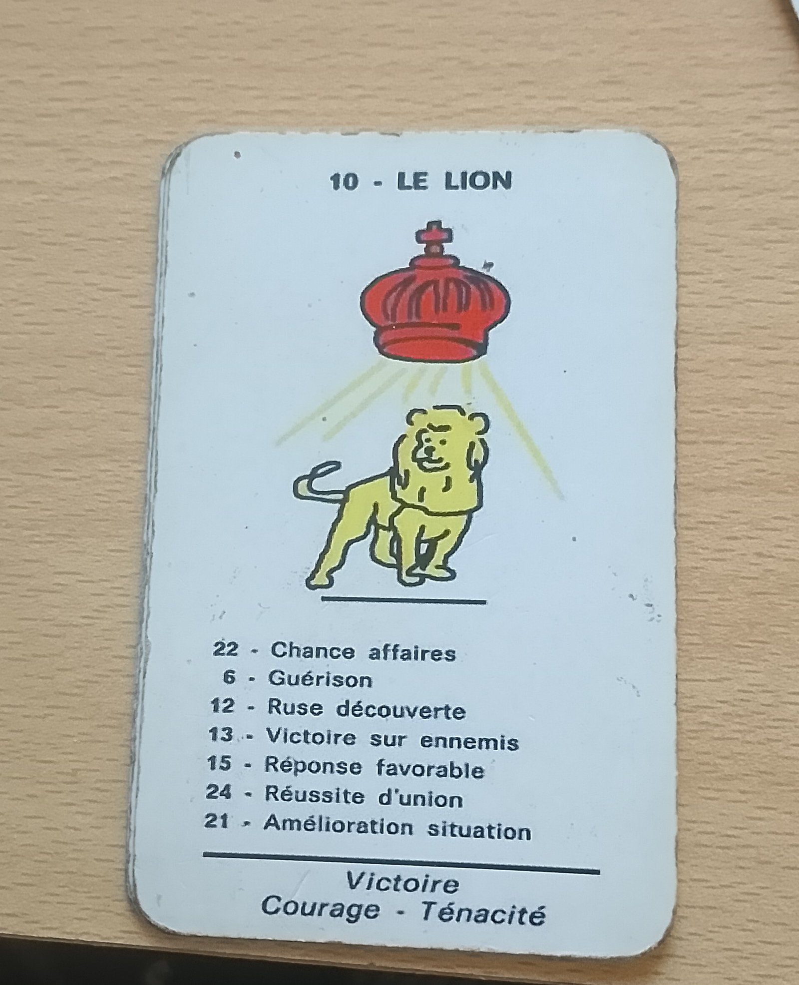 Lire la suite à propos de l’article La carte du lion dans l’oracle spirite de Mariana