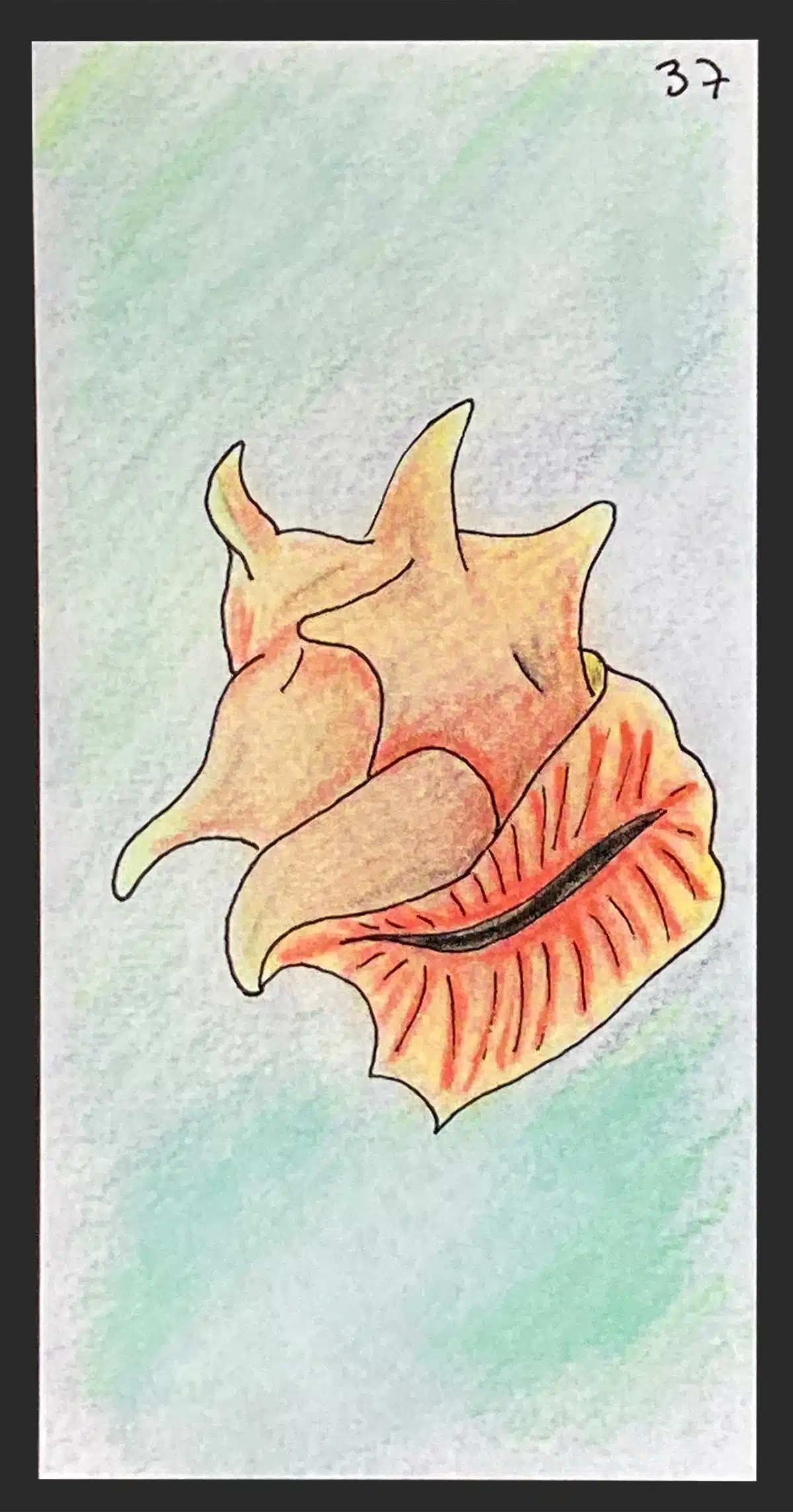 You are currently viewing Apprendre l’oracle Gé : interprétation et association de la carte du coquillage